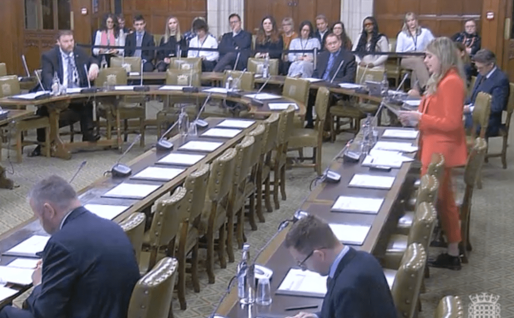 MPs calls for greater support for migraine&nbsp;sufferers